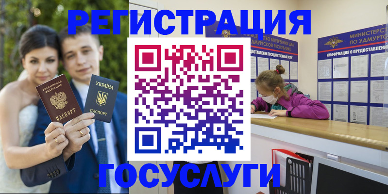 прописка поиск в Котово